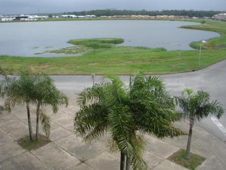 Kourou city 